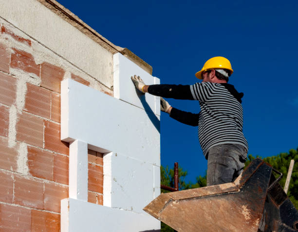 Best Home Insulation Services  in Indian Rocks Beach, FL